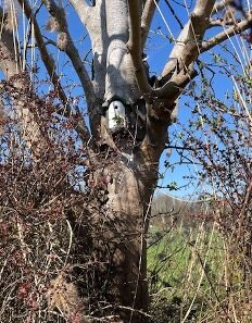 Flugplatzgemeinschaft Grefrath (FPG) und Biostation Krickenbecker Seen (BSKS) kooperieren